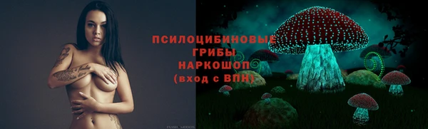 spice Алексин